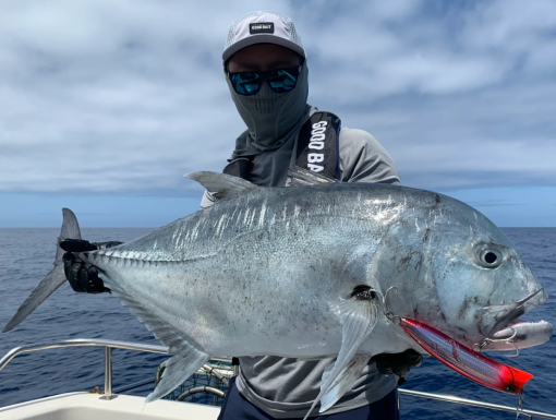 ⁦Good Bait BnD180F⁩ – תמונה ⁦9⁩