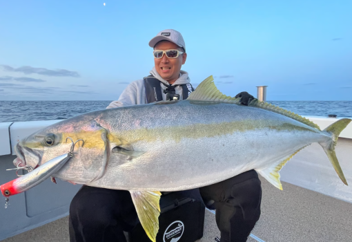 ⁦Good Bait BnD180F⁩ – תמונה ⁦10⁩