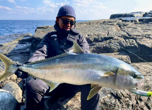 ⁦Good Bait BnD180F⁩ – תמונה ⁦11⁩
