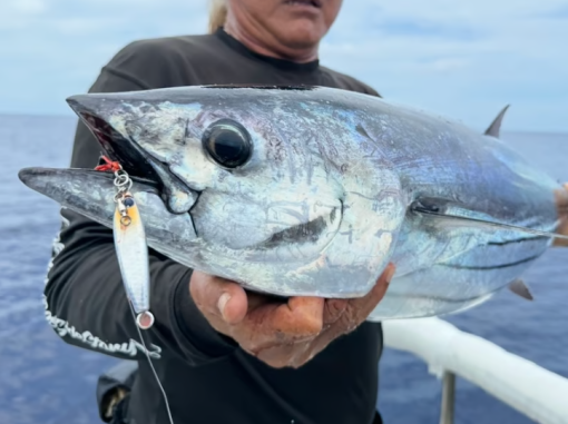 ⁦GOOD BAIT c50⁩ – תמונה ⁦5⁩