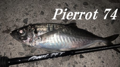 ⁦TRUTH JAPAN Pierrot74 TUBE Model⁩ – תמונה ⁦12⁩